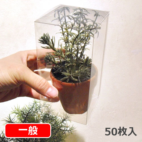 PETクリスタルボックス一般商品リスト